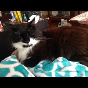 Meet your Posher, Denise